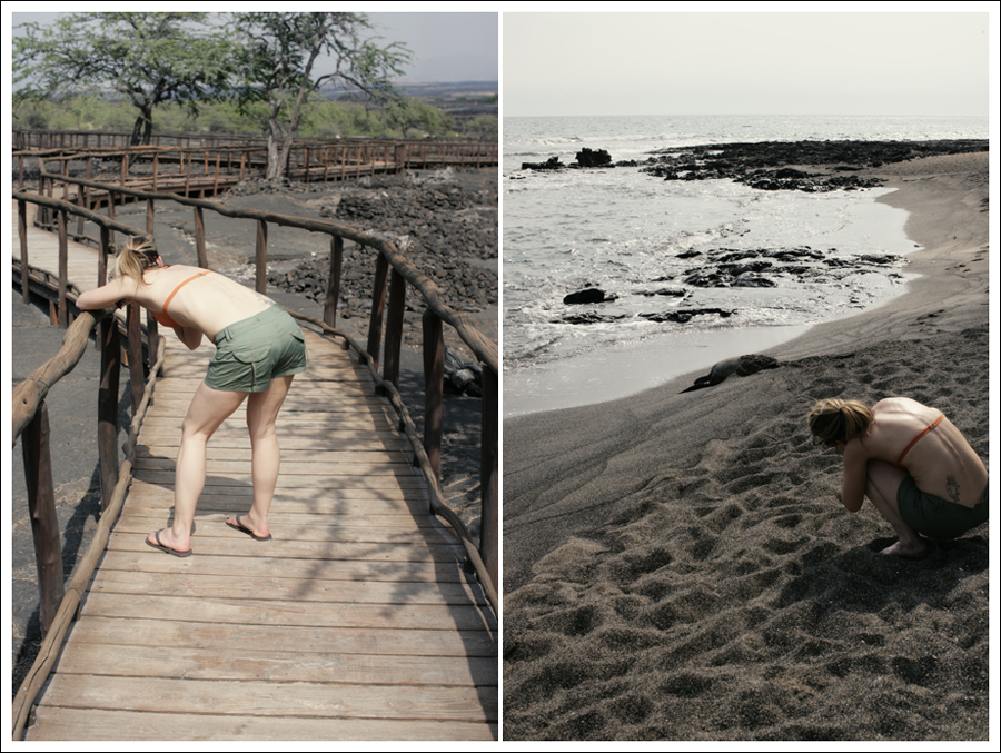 L&H27
