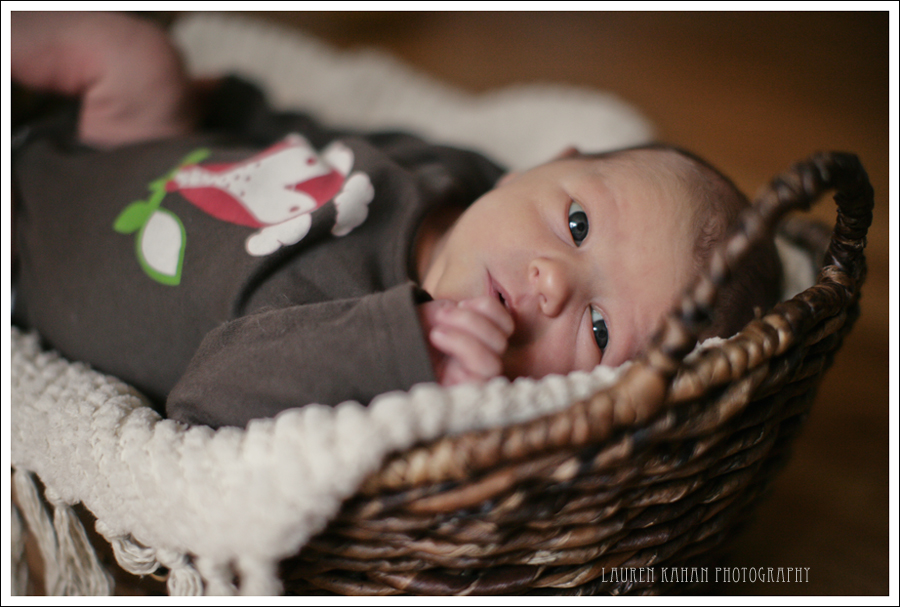 Maddox11