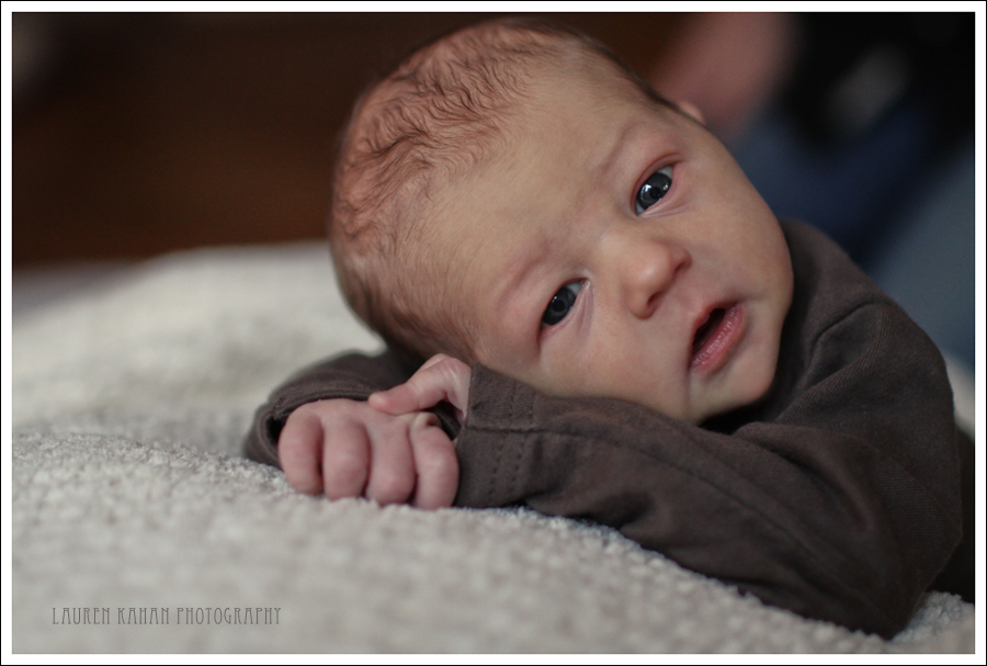 Maddox16