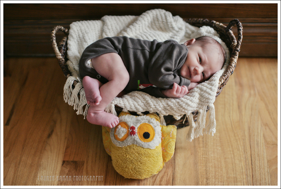 Maddox9
