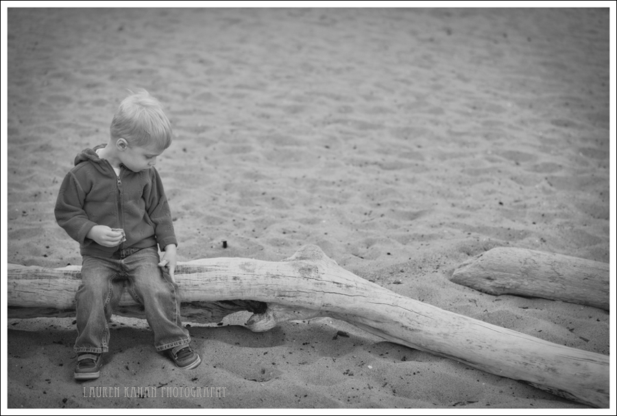 Ollie's two-9bw