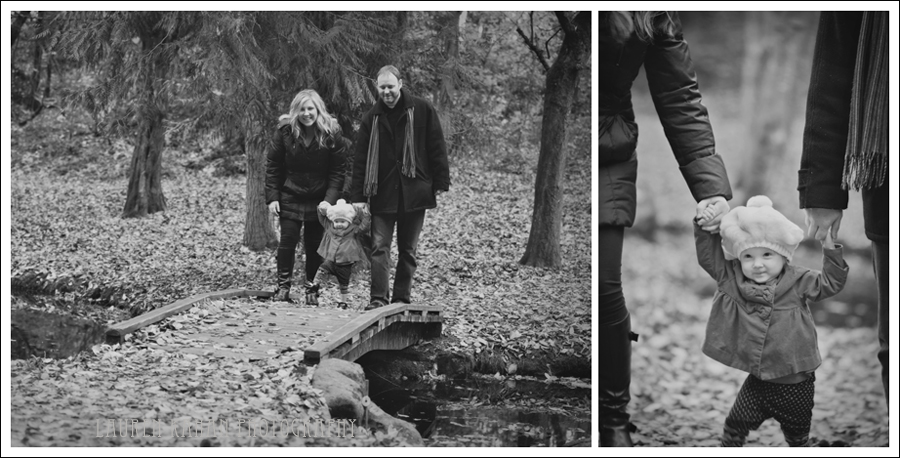 Scheck FamilyH~10