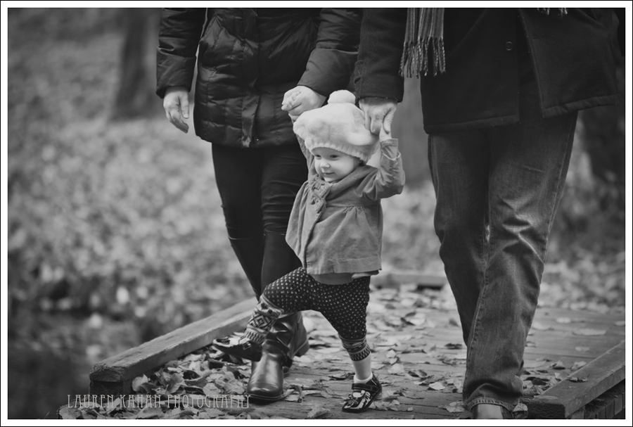 Scheck FamilyH~11