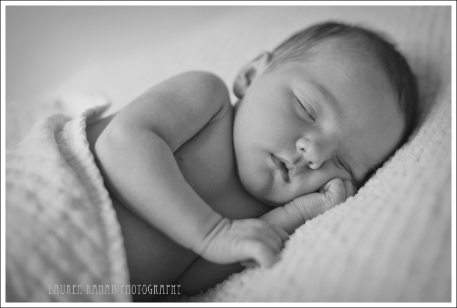 Maya~10.12.11-1 bwsm