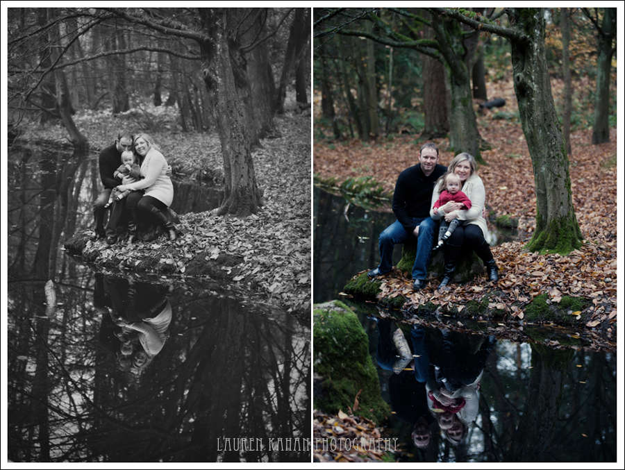 Scheck FamilyH~16
