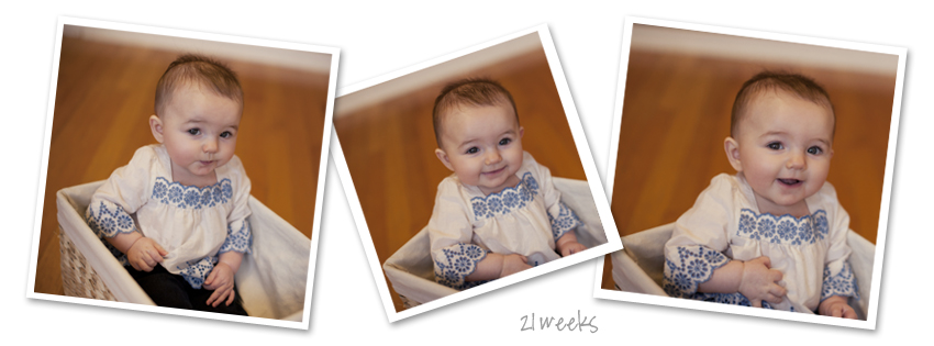 21 Weeks Timeline