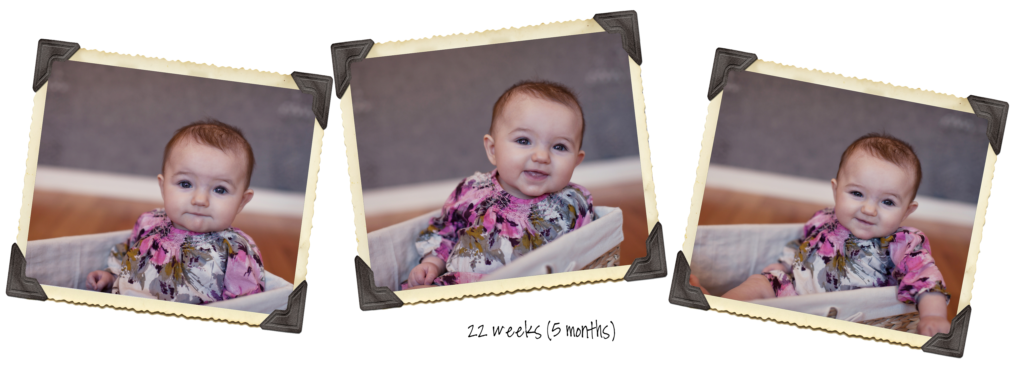 Maya22wks5motimeline