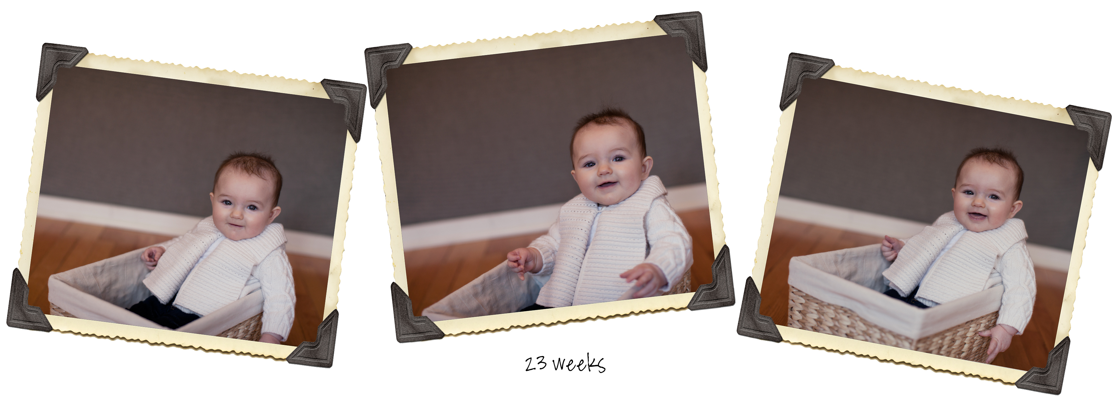 Maya23wkstimeline