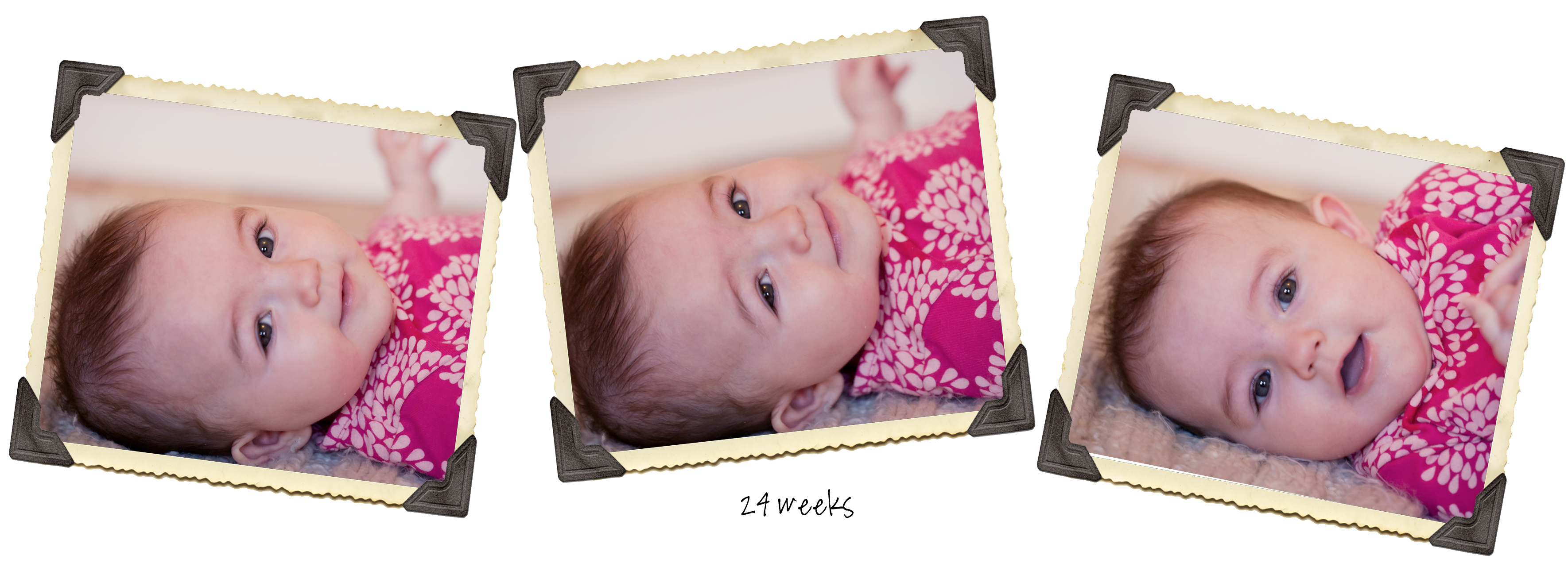 Maya24wks~timeline