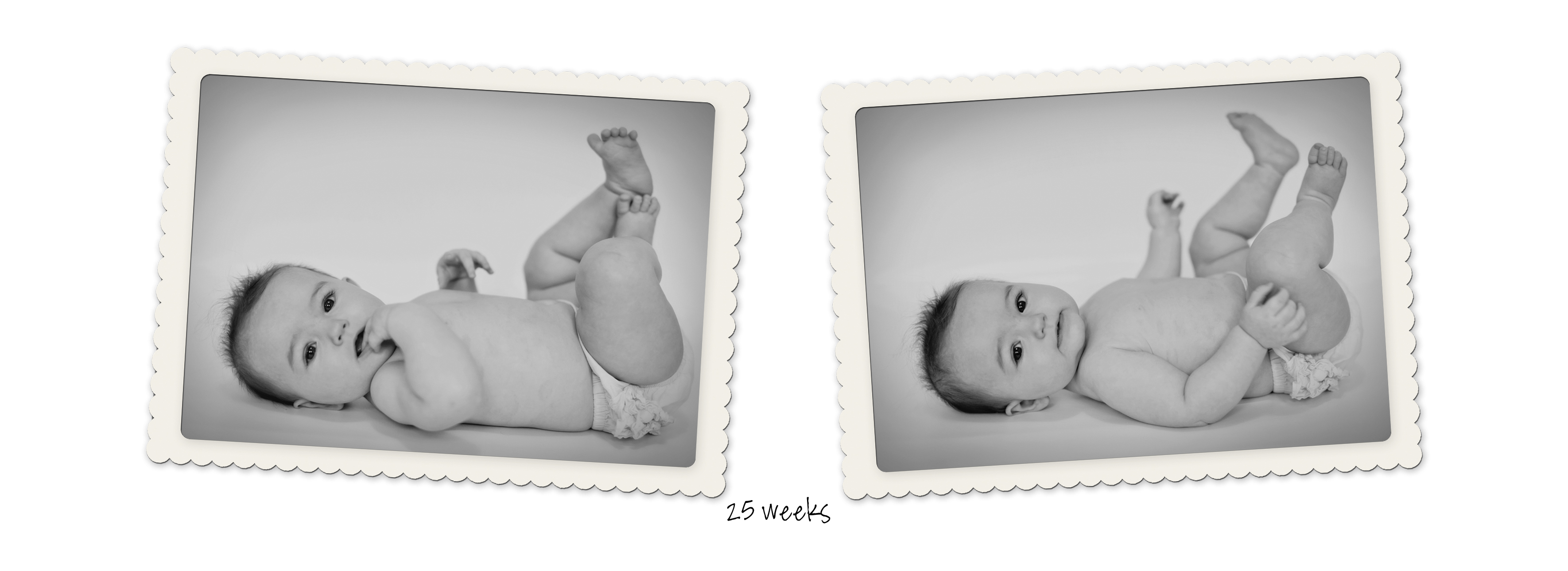 Maya25weekstimeline