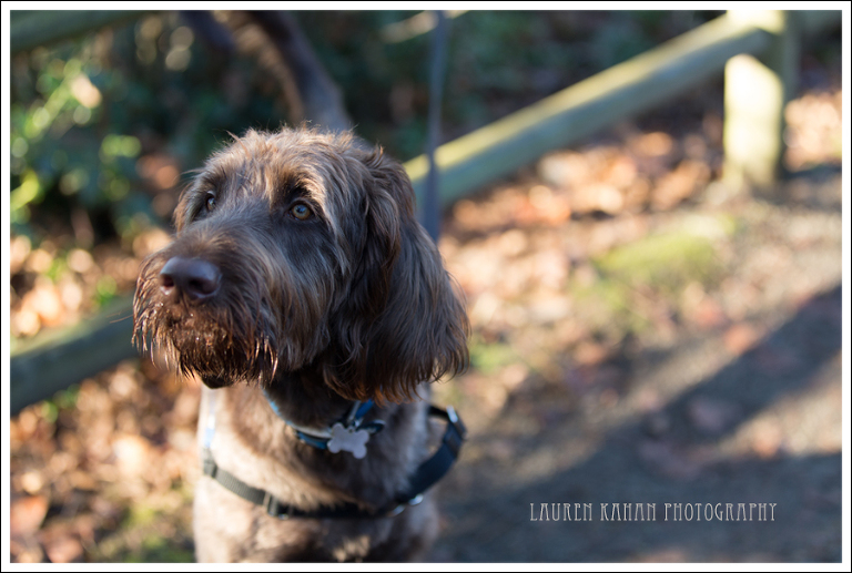 BlogEricaandWallyEngagement-19