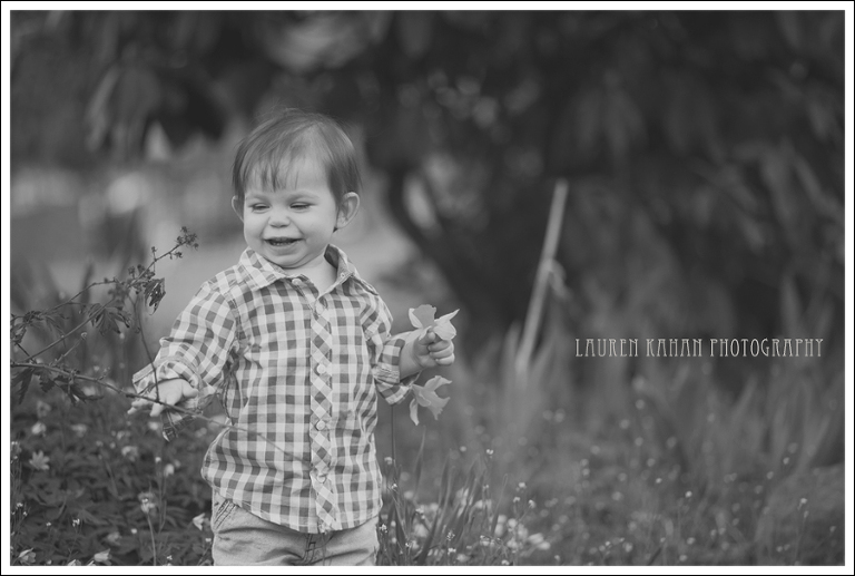 Blog Raven is One-11