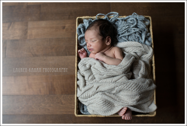 Blog Vinay Seattle Newborn Photographer-17