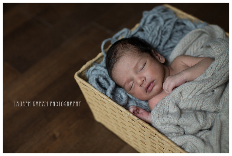 Blog Vinay Seattle Newborn Photographer-18