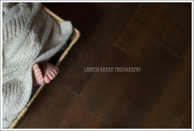 Blog Vinay Seattle Newborn Photographer-19