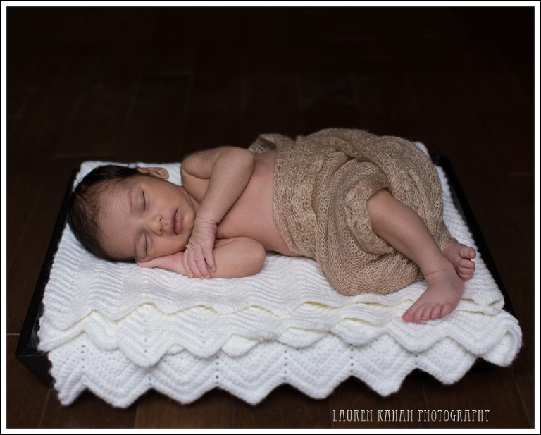 Blog Vinay Seattle Newborn Photographer-27