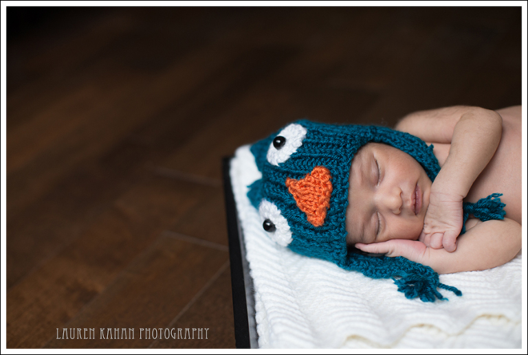 Blog Vinay Seattle Newborn Photographer-28