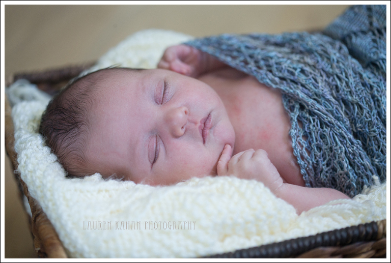 Blog Sylvia Seattle Newborn Photographer-18