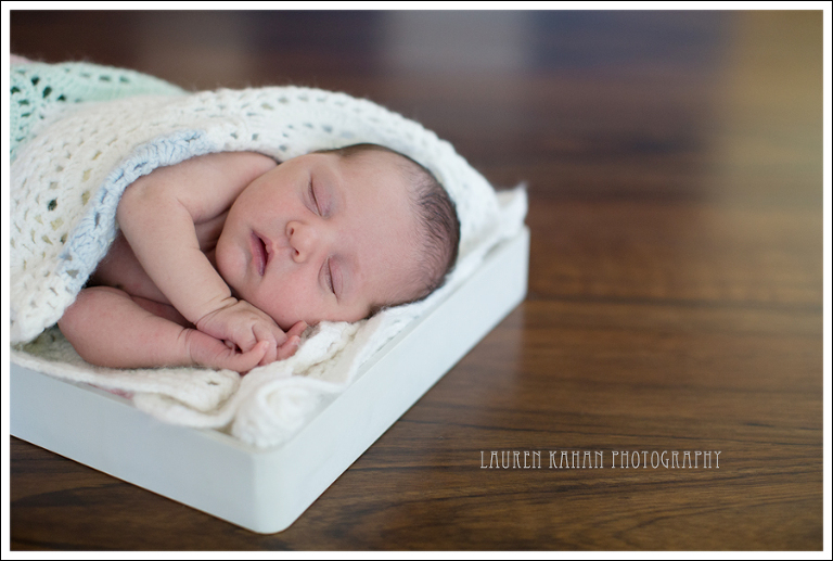 Blog Sylvia Seattle Newborn Photographer-21