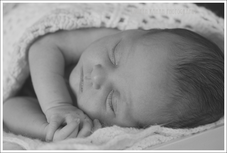 Blog Sylvia Seattle Newborn Photographer-22