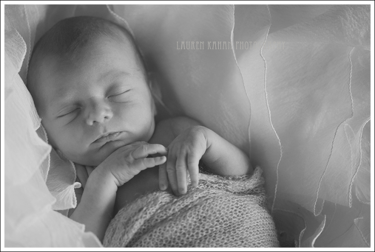 Blog Henry Seattle Newborn Photographer-18