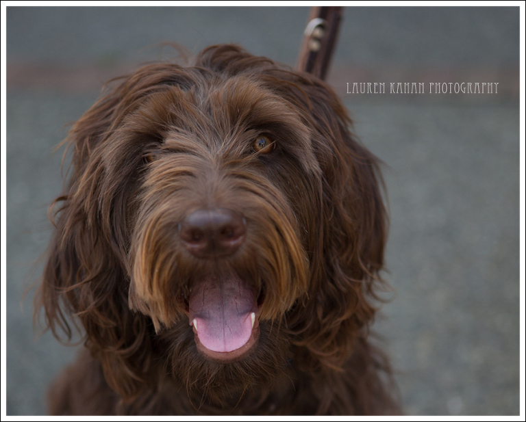 Blog Evan Seattle Child Photographer-36