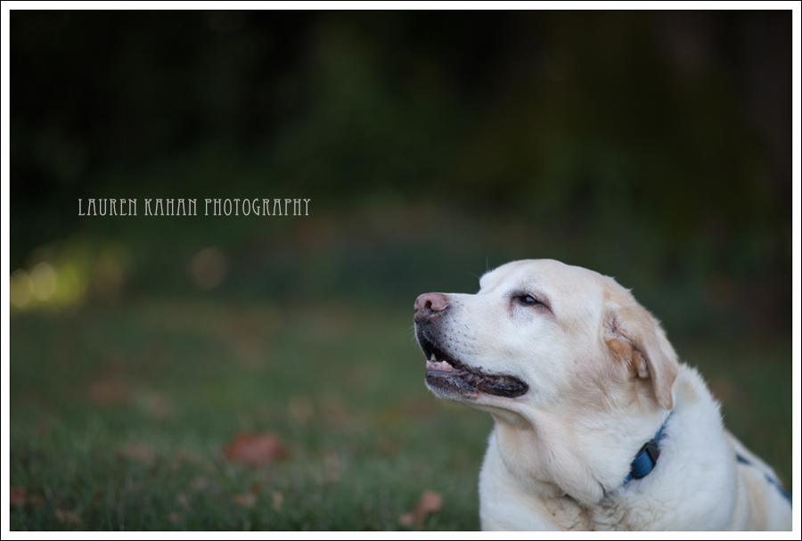 Blog Heuberger Seattle Family Photographer-5