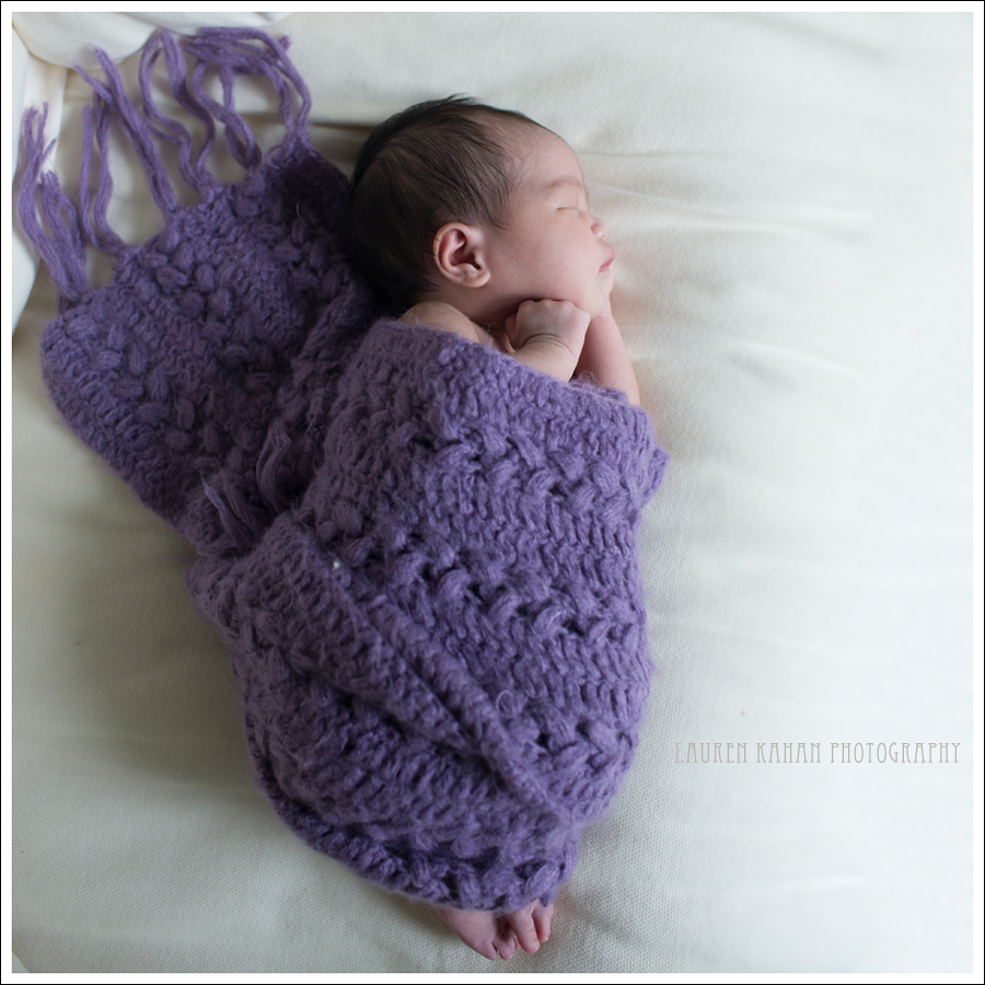 Blog Seattle Newoborn Photographer K-8