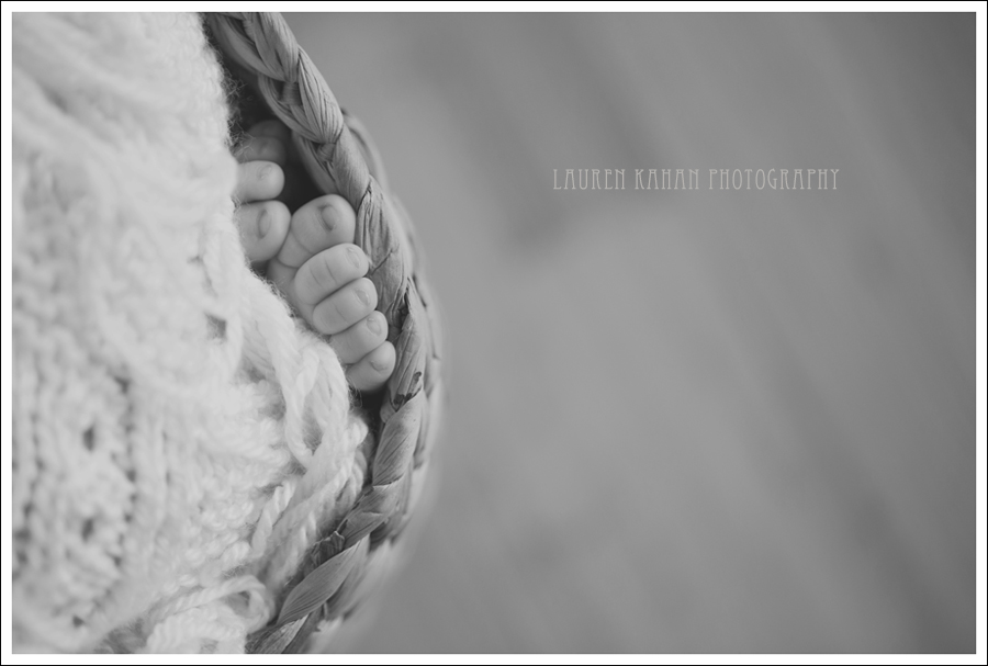 Blog West Seattle Newborn Photographer-Freya-15