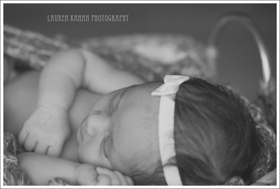 Blog West Seattle Newborn Photographer-Freya-19