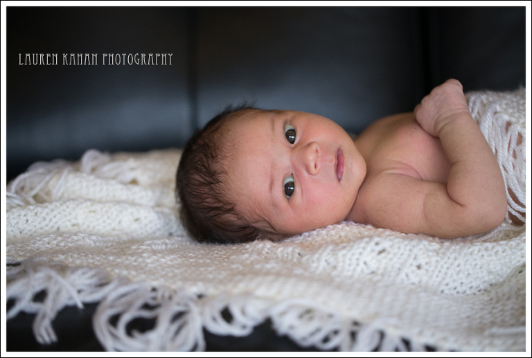 Blog West Seattle Newborn Photographer-Freya-4
