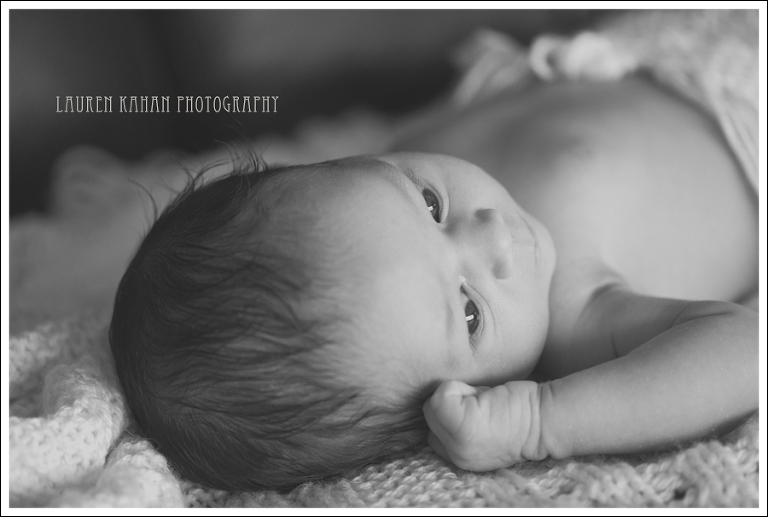 Blog West Seattle Newborn Photographer-Freya-5