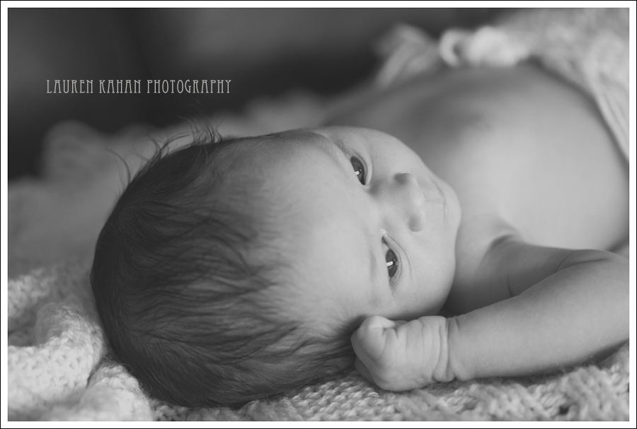 Blog West Seattle Newborn Photographer-Freya-5