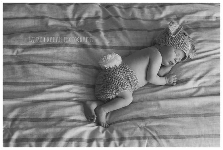 Blog Seattle Newborn Photographer Sebastian-34