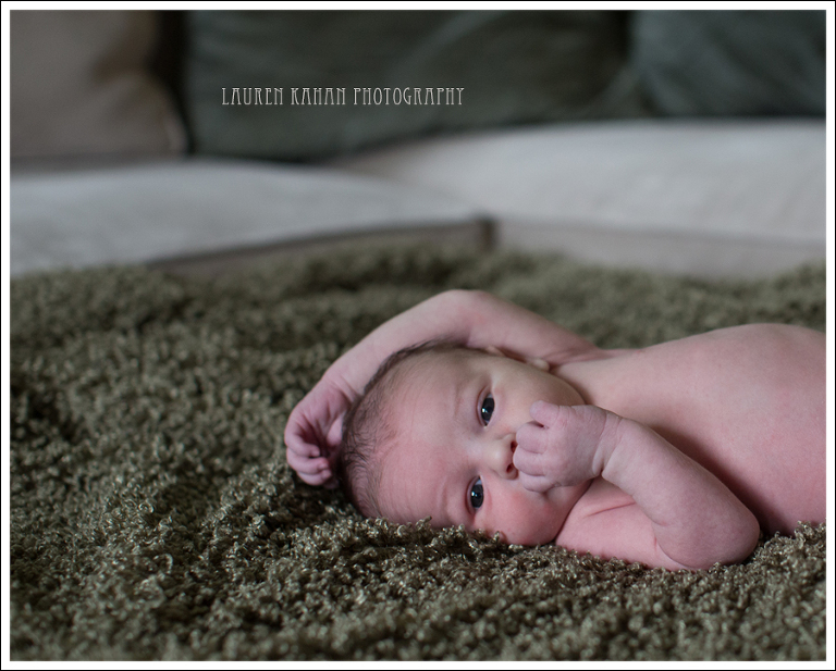 Blog West Seattle Newborn Photographer Gavin-1