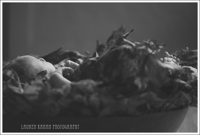 Blog West Seattle Newborn Photographer Gavin-16