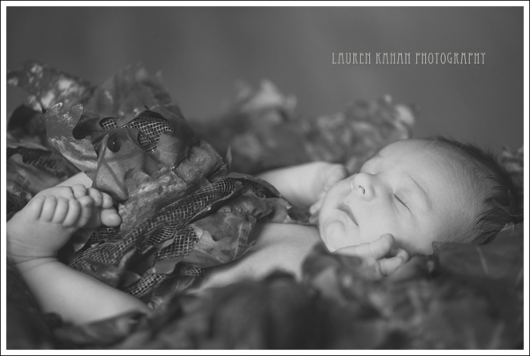 Blog West Seattle Newborn Photographer Gavin-18