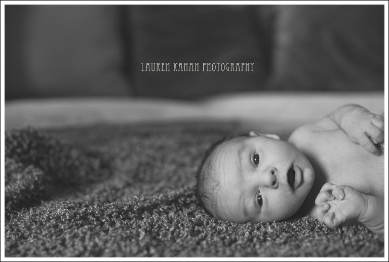 Blog West Seattle Newborn Photographer Gavin-3