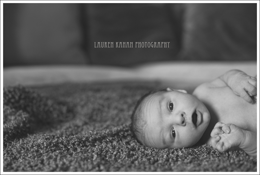 Blog West Seattle Newborn Photographer Gavin-3