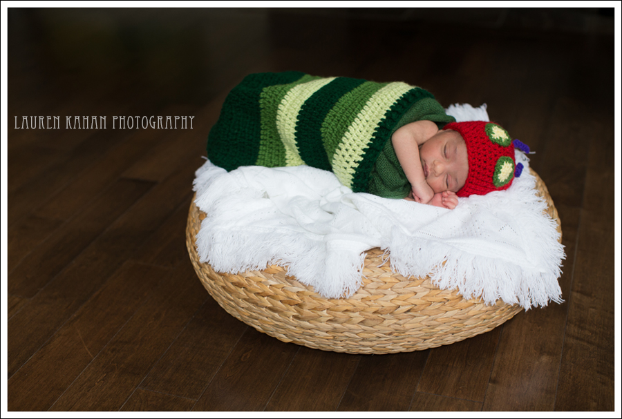 Blog Seattle Newborn Photographer-Rahil-18
