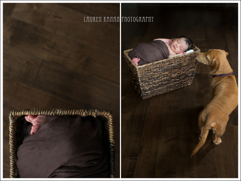 Blog Seattle Newborn Photographer-Rahil-24