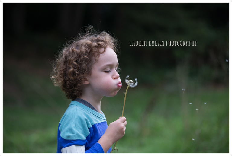 Blog West Seattle Family Photographer Rice-36