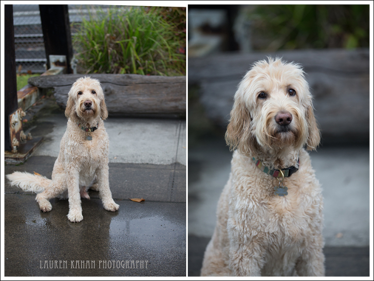 Blog Nofsinger Family-23