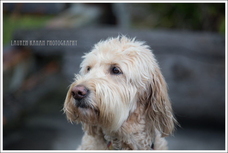 Blog Nofsinger Family-24