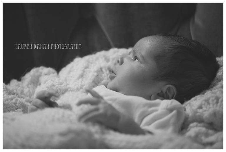 Blog Seattle Newborn Photographer-1