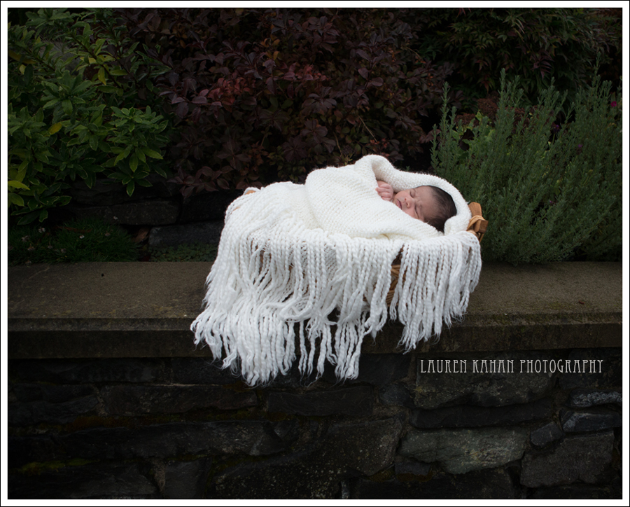 Blog Seattle Newborn Photographer-14