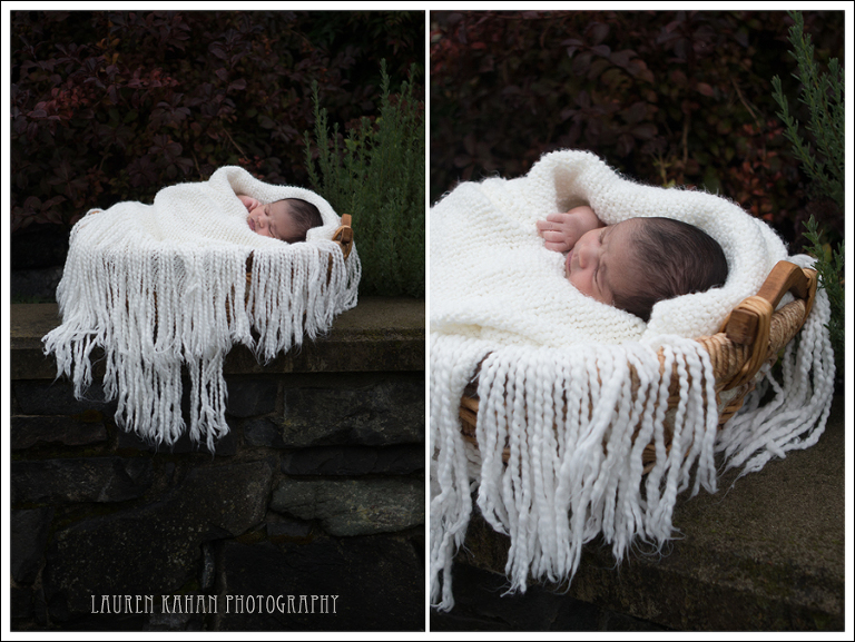 Blog Seattle Newborn Photographer-15