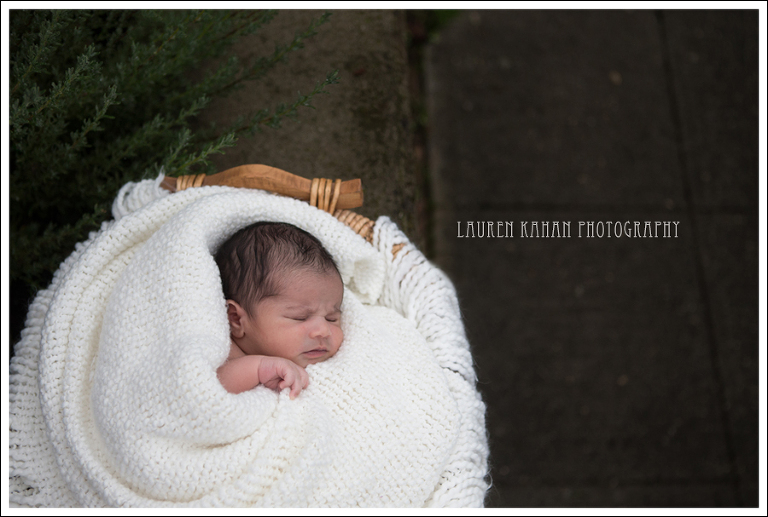 Blog Seattle Newborn Photographer-17