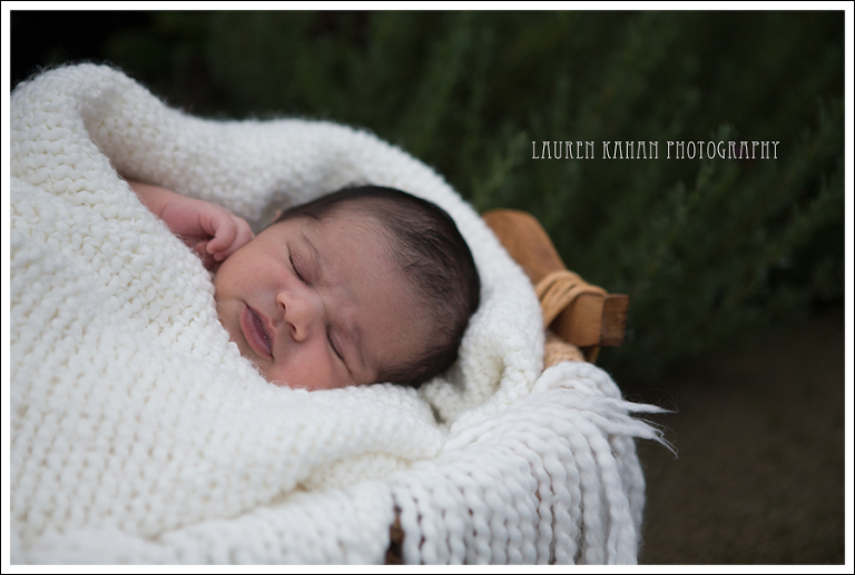 Blog Seattle Newborn Photographer-18