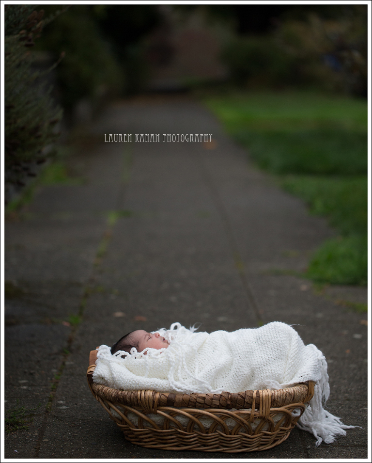 Blog Seattle Newborn Photographer-19